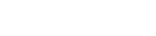 메가시티의 탄생